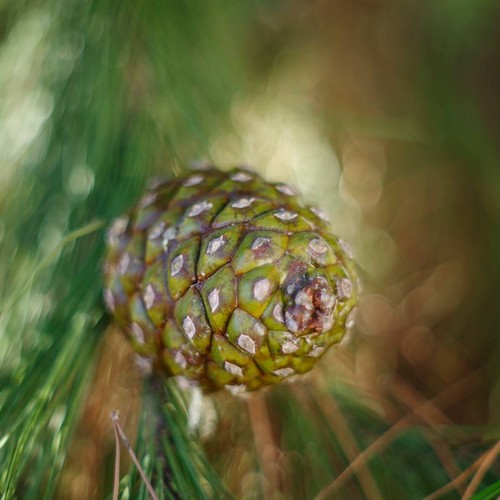 14980710_1353452788000591_4562593329844107347_n.jp 14980710_1353452788000591_4562593329844107347_n.jp