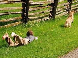 cão arrastar.jpg cão arrastar.jpg