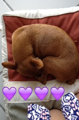 i phone bea fotos 105.JPG