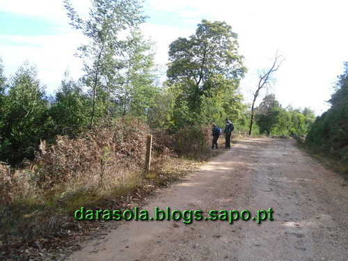 Penacova_16.JPG Penacova_16.JPG