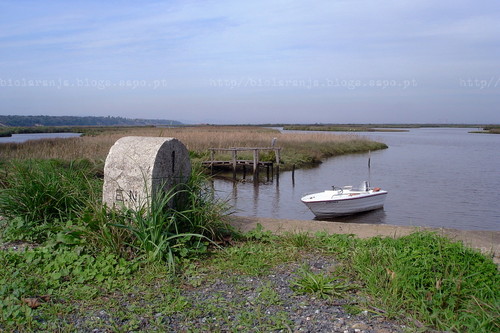 DSC06840.JPG