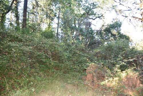 DSC_0665.JPG DSC_0665.JPG