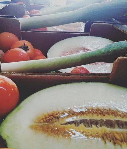 13692714_734505613355869_5504923542568461941_n.jpg 13692714_734505613355869_5504923542568461941_n.jpg