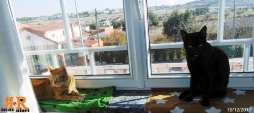 duplaranjachoc.jpg duplaranjachoc.jpg