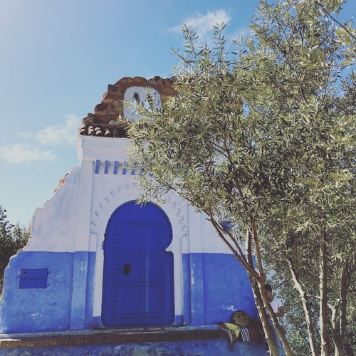 IMG_6424.JPG IMG_6424.JPG