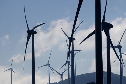 983132.jpg 983132.jpg