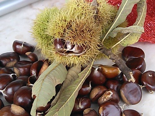 IMG_20141011_161442.jpg IMG_20141011_161442.jpg