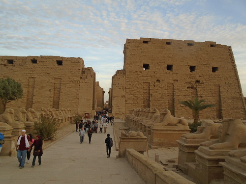 DSC00503.JPG DSC00503.JPG