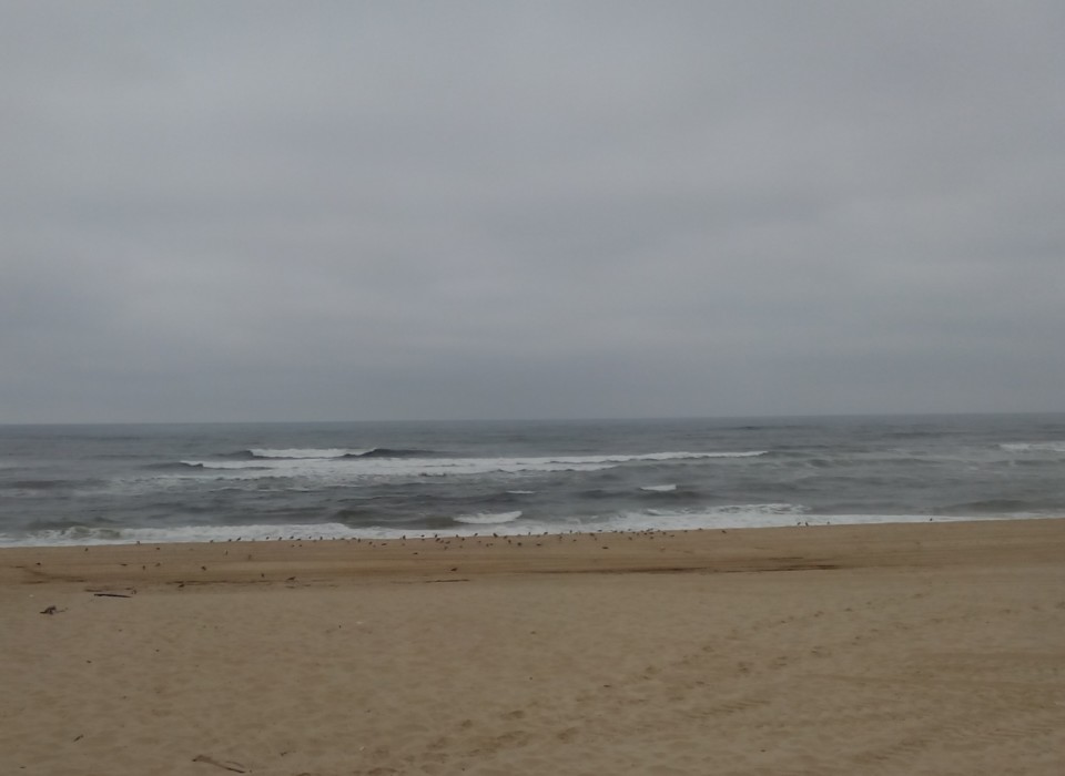 IMG_20210611_110905.jpg IMG_20210611_110905.jpg