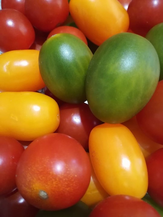 78103685_1530566193749803_5301972861592797184_o.jp