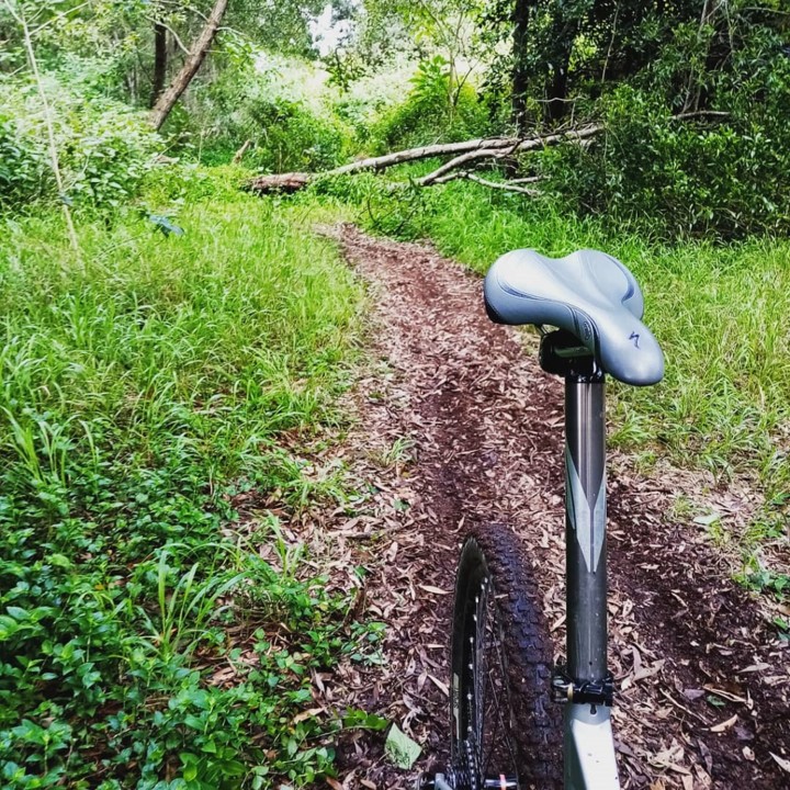 fsrxc_singletrack.jpg fsrxc_singletrack.jpg