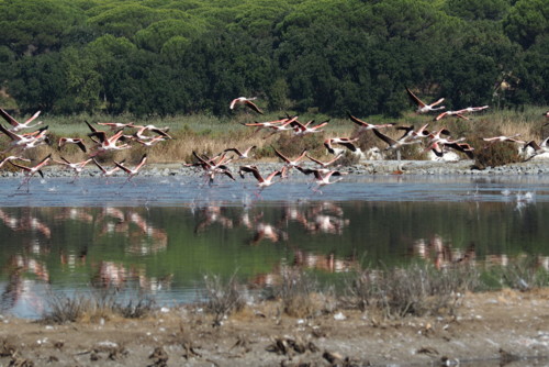 PA050129.JPG PA050129.JPG