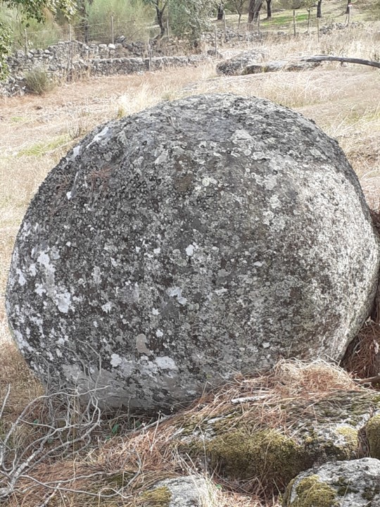 Ovo de Dinossauro. Foto original. 2021.10.09.jpg