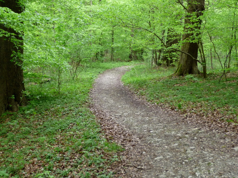 2010-05-14 Externsteine 039.JPG