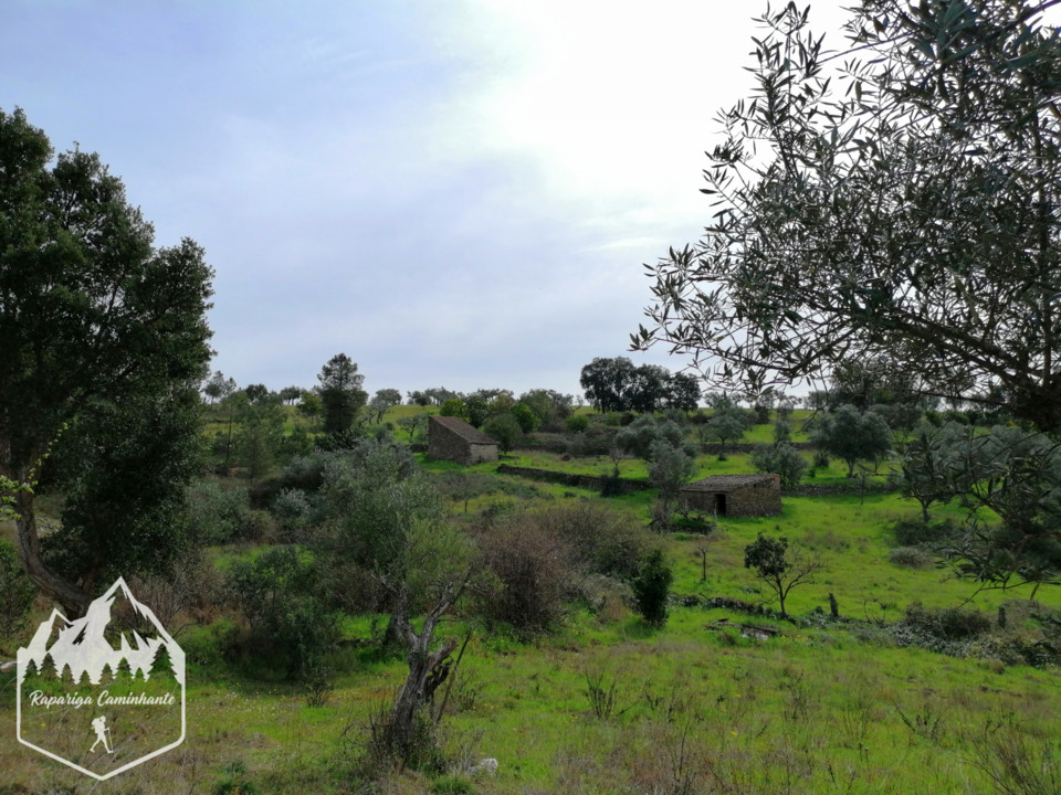 Photo_1584188392157.jpg Photo_1584188392157.jpg