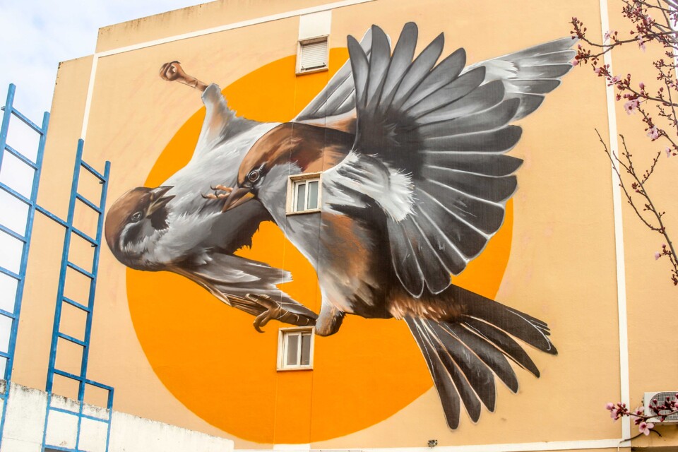 arte urbana odeith 1.jpg
