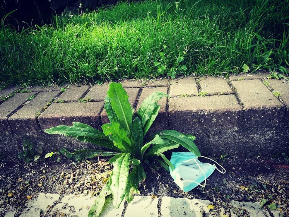 97989758_10157442248508565_4789229937695391744_o.j