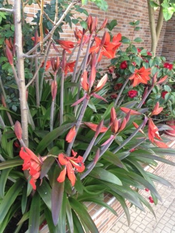 IMG_2213.JPG IMG_2213.JPG