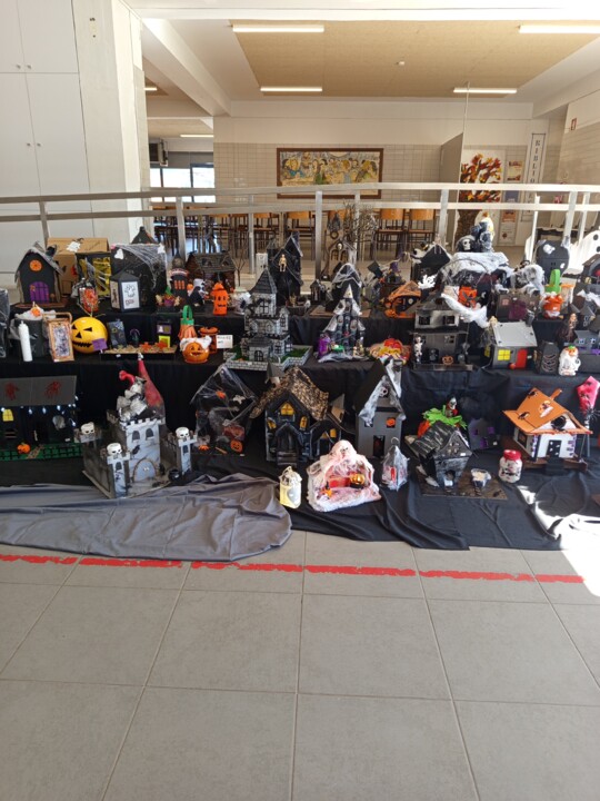 BIb 30 de outubro 028.jpg