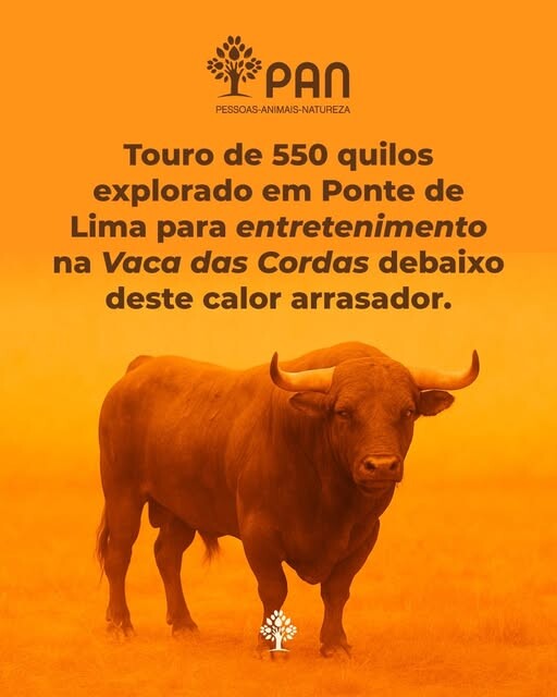 VACA DAS CORDAS.jpg