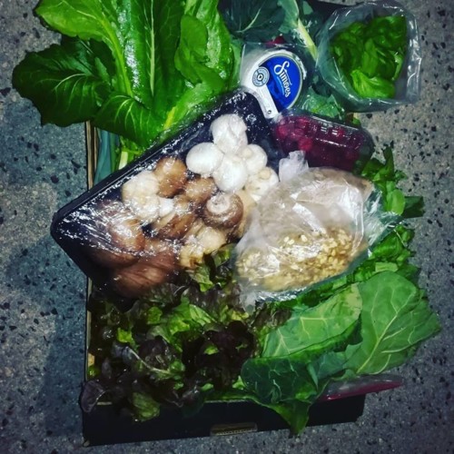 50813522_1294682834004808_8541409591928291328_n.jp