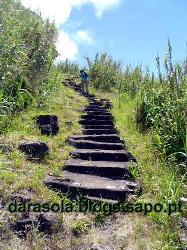 azores_flores_faja_lopo_Vaz_34.JPG azores_flores_faja_lopo_Vaz_34.JPG