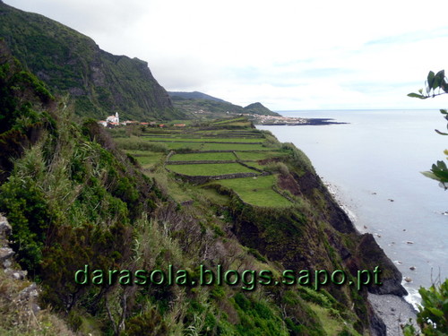 Azores_flores_faja_grande_08.JPG
