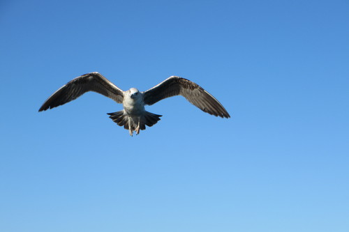 IMG_7502.JPG