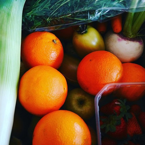 18194825_887938434679252_8288482588289000907_n.jpg 18194825_887938434679252_8288482588289000907_n.jpg