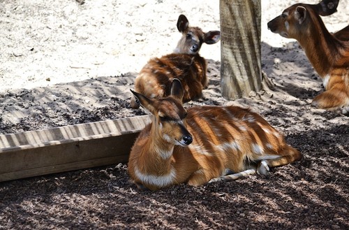 IMG_9537.PNG IMG_9537.PNG