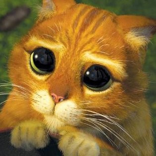 gato_shrek[1].jpg