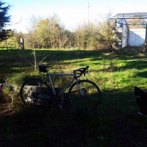 received_855420311144898.jpeg