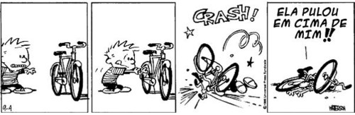 calvin_bici4.jpg