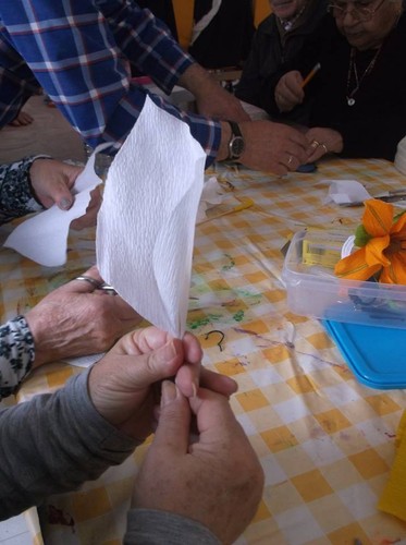 12986922_1729643937307191_5689100037258076609_n.jp