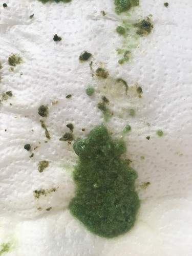 14492341_1107781035964871_1507746795730807989_n.jp