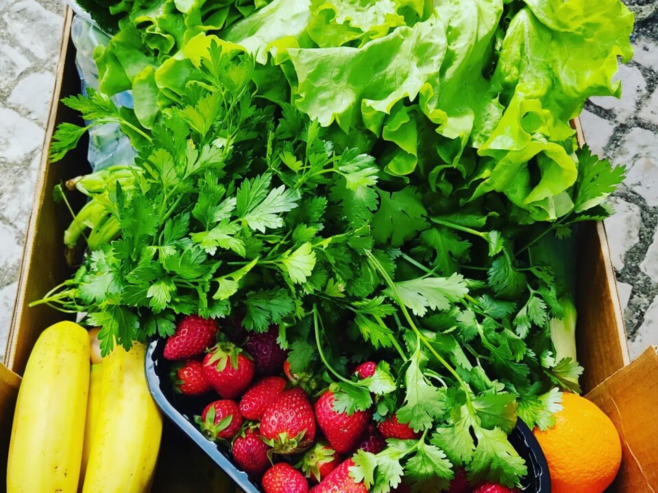 343998687_626875855982241_1290782887041669589_n.jp