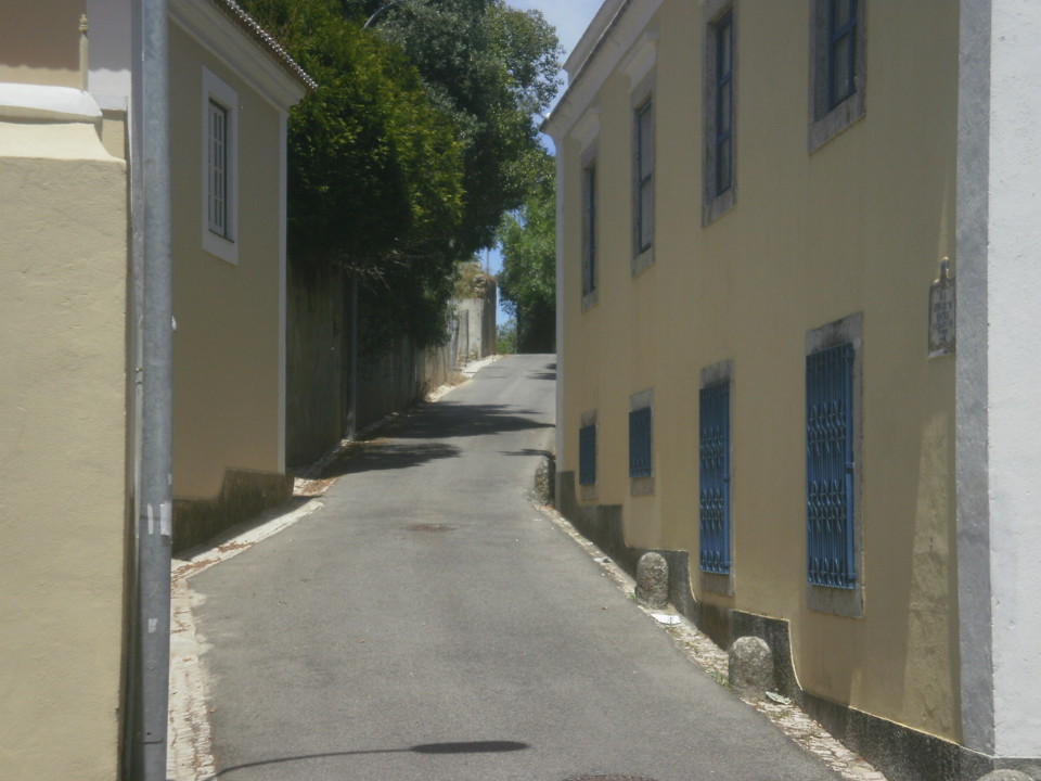 P5157464.JPG P5157464.JPG