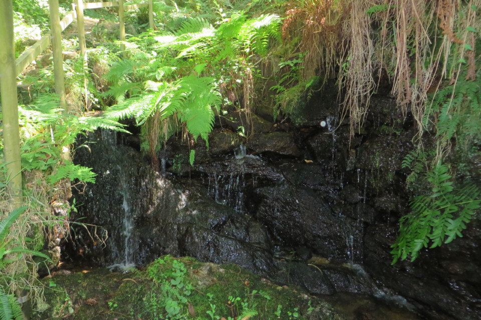 IMG_3042.JPG IMG_3042.JPG