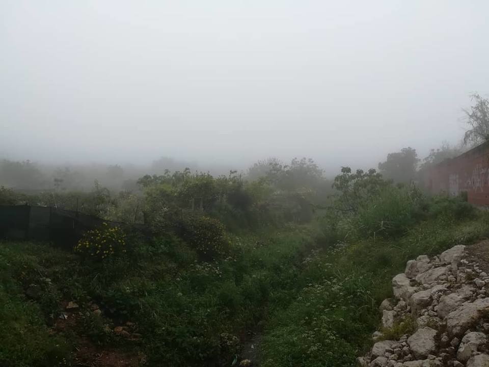 56960546_10156387522238565_588167982748794880_n.jp