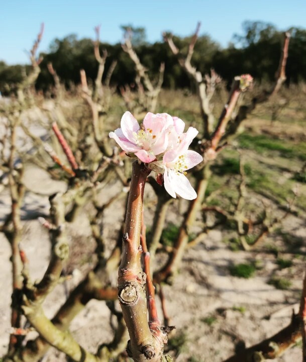 486637579_18469473013066958_5668311622113820253_n.