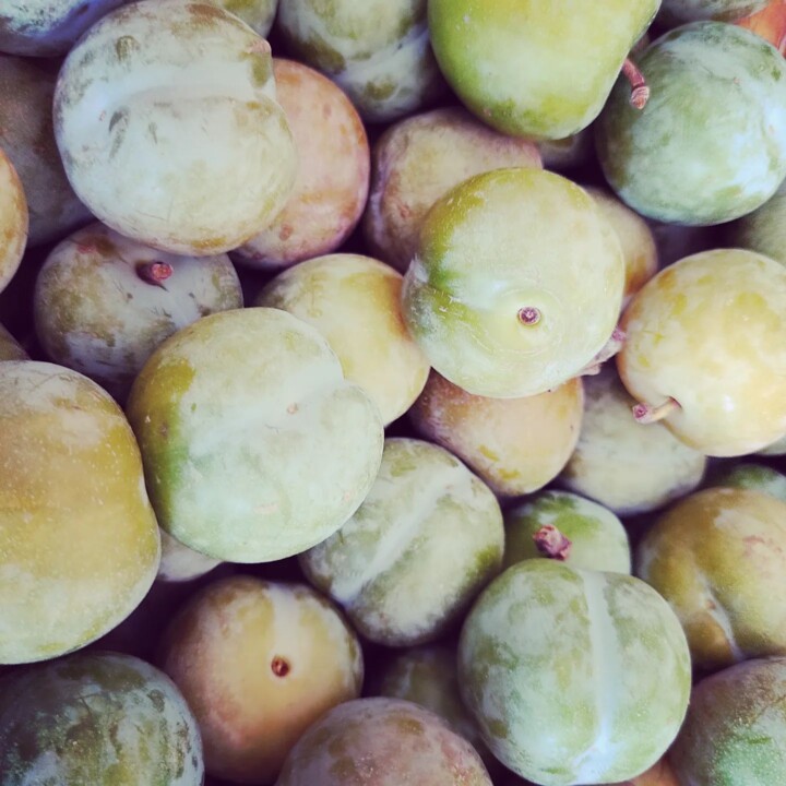 296408269_2371513102988437_1909158490189875314_n.j