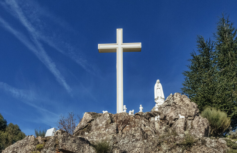 Aboboreira Carvalho de Rei 2024.jpg