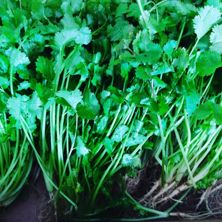 136989319_1920205038119248_3992728415061974411_o.j