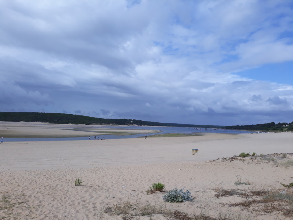 20200612_165054.jpg 20200612_165054.jpg