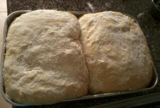 10929992_10205702505513493_9049106466623474067_n.j