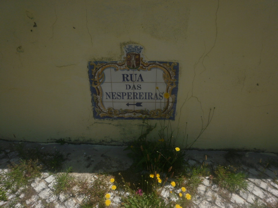 P4237935.JPG P4237935.JPG