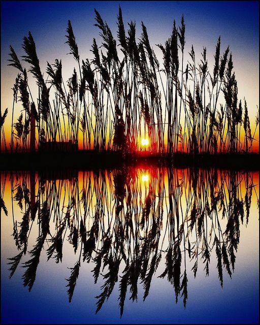 1384223_10201810640707303_6686193757092447648_n.jp