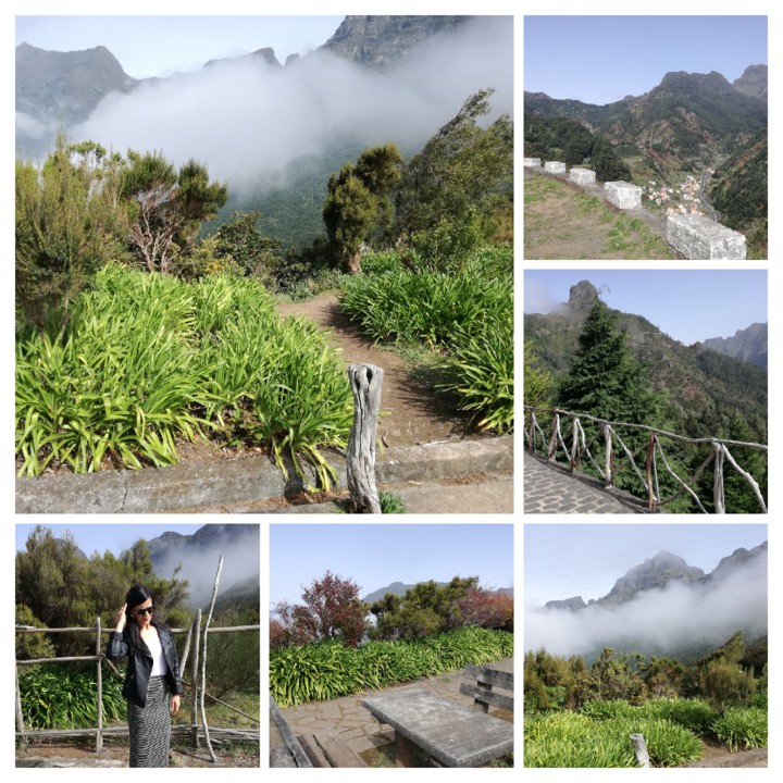 IMG_20200225_144534-COLLAGE.jpg IMG_20200225_144534-COLLAGE.jpg