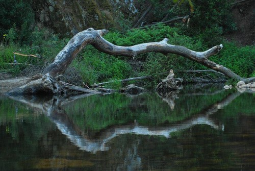 19. Telma Cardoso.jpg