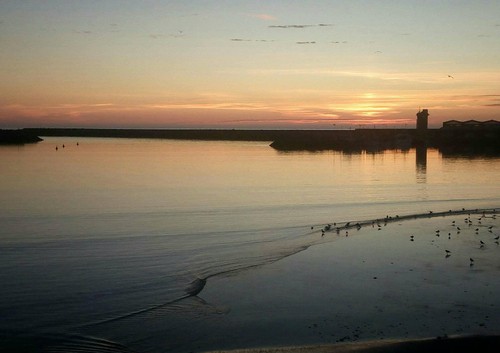 21765710_1453794341372879_5971139569902677110_o.jp